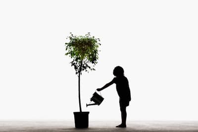 Lead Nurturing: um passo além da geração de leads