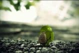 Android perde popularidade nos principais mercados no mundo