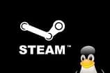 Suporte para Linux ultrapassa 20% dos jogos da Steam