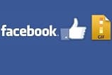 GIFs chegam ao Facebook para páginas de fãs no Brasil