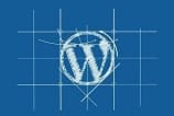 Apiki lança curso gratuito de Gerenciamento de Conteúdo com WordPress