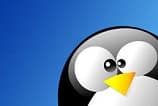 Diretor do Linux anuncia fabricação de computadores de baixo custo no Brasil