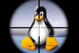 Novo vírus sequestra arquivos de usuários do Linux