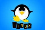 Fundação Linux oferece bolsas de estudo para alunos de ensino médio