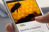 WordPress ganha plugin do Facebook para Instant Articles