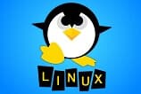Linus Torvalds libera versão 4.6 do Linux