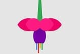 Google estaria desenvolvendo um novo SO chamado Fuchsia