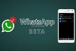 WhatsApp deve ganhar suporte para GIFs em breve