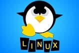Linus Torvalds admite bug no Linux 4.8 que pode comprometer kernel