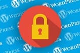 Apiki lança whitepaper sobre SSL e WordPress