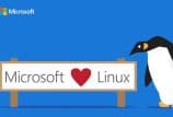 Microsoft firma parceria e leva SQL Server para Linux