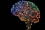 Nama, empresa de inteligência artificial, lançará framework de código aberto para criação de chatbots