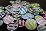 WordPress lança programa de recompensa por bugs