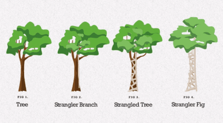 Strangler Pattern: como migrar um monólito para microsserviços