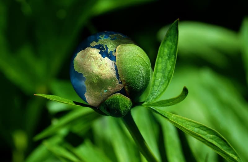 Google anuncia iniciativas para ajudar cidades brasileiras em ações de combate à crise climática
