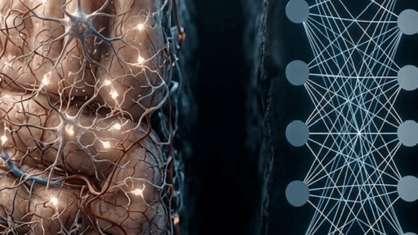 Entre neurônios e parâmetros: a ilusão da inteligência artificial