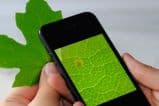 Lente de 10 centavos transforma celular em microscópio