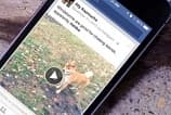 Facebook desenvolve sistema contra pirataria de vídeos na rede social