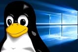 Microsoft cria versão própria do Linux