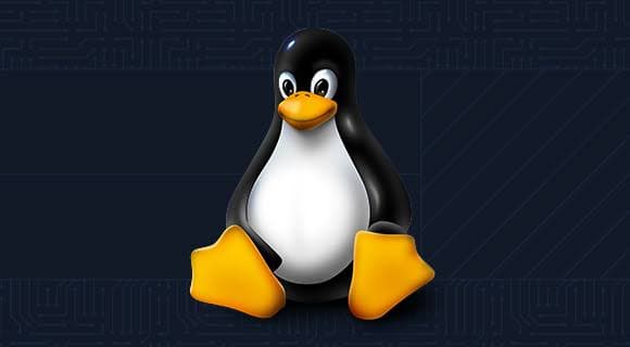 Linux 7.2 chegou a 2 mil CVEs com a ajuda de uma IA chinesa
